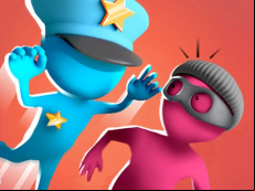 Catch the Thief 3D