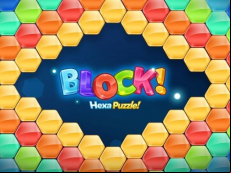 Hexa Puzzle Game 2020